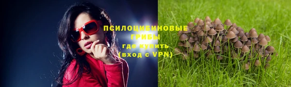 трава Балабаново